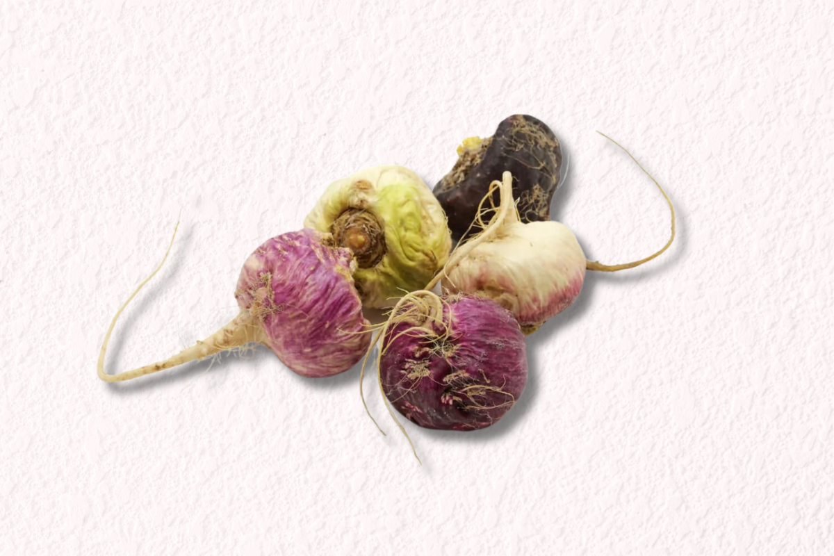 Maca Root 101: What It Is and Why It Matters for Fertility