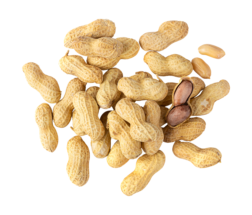 Peanuts