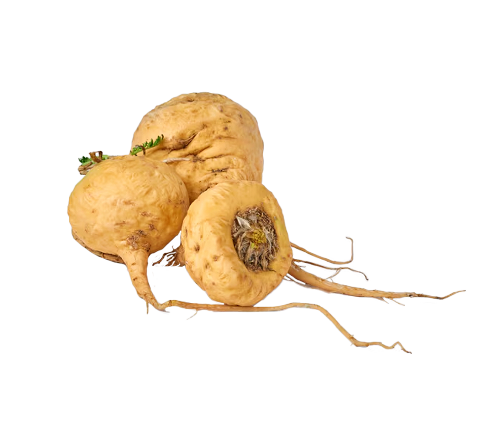 Maca Root