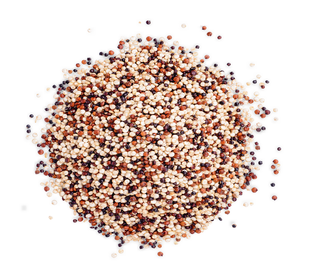 Quinoa