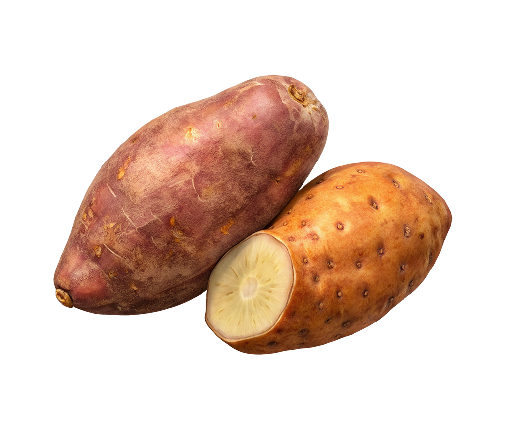 Sweet Potato
