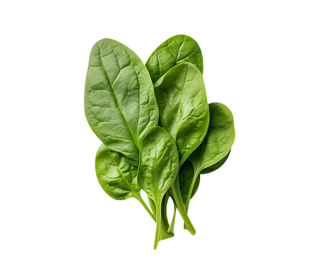 Spinach
