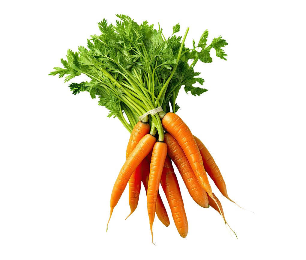 Carrots